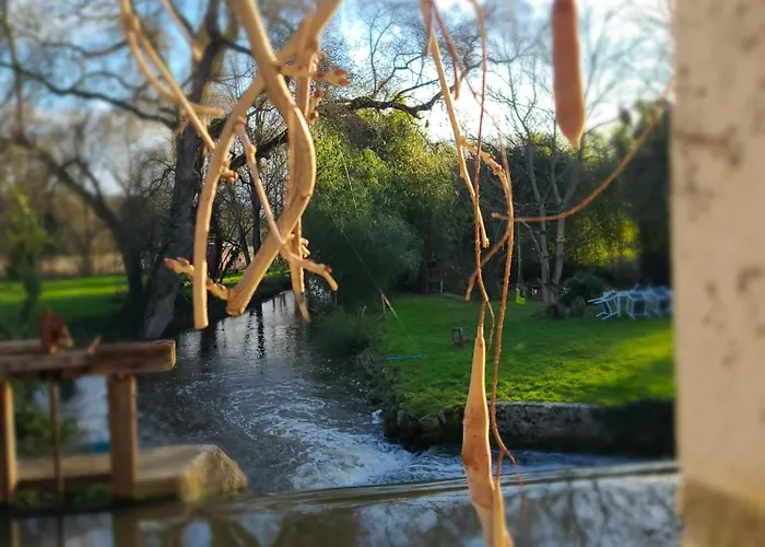 Les Roulottes Du Moulin De Palet *