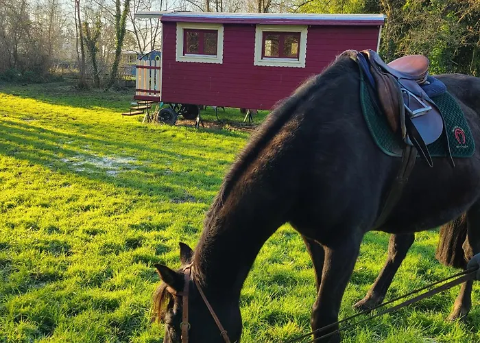 Landhaus Les Roulottes Du Moulin De Palet