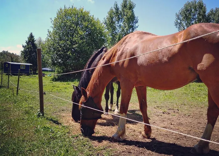 Les Roulottes Du Moulin De Palet Casa de Campo *
