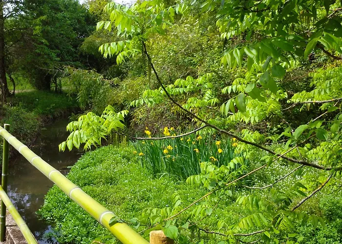 Les Roulottes Du Moulin De Palet